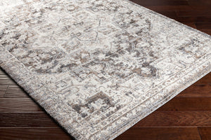 Livabliss Tuscany Traditional Medallion High Pile Area Rug for Formal Living and Dining Rooms Brown, Charcoal 8'10" x 12'2" TUS2318-9121