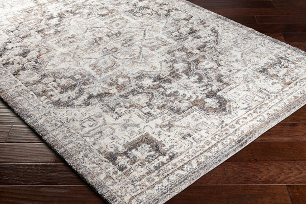 Livabliss Tuscany Traditional Medallion High Pile Area Rug for Formal Living and Dining Rooms Brown, Charcoal 8'10" x 12'2" TUS2318-9121