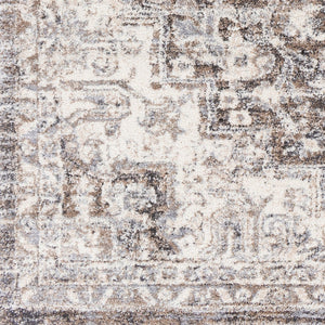 Livabliss Tuscany Traditional Medallion High Pile Area Rug for Formal Living and Dining Rooms Brown, Charcoal 8'10" x 12'2" TUS2318-9121