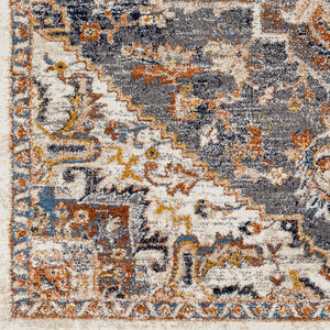 Livabliss Tuscany Traditional Polypropylene High Pile Area Rug Turkish Woven Living Room Accent Cream, Gray 2' x 2'11" TUS2334-23