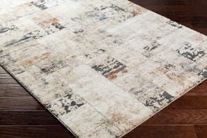 Livabliss Tuscany Plush High Pile Area Rug Turkey Woven Polypropylene Blend Large Living Room TUS2342-1215
