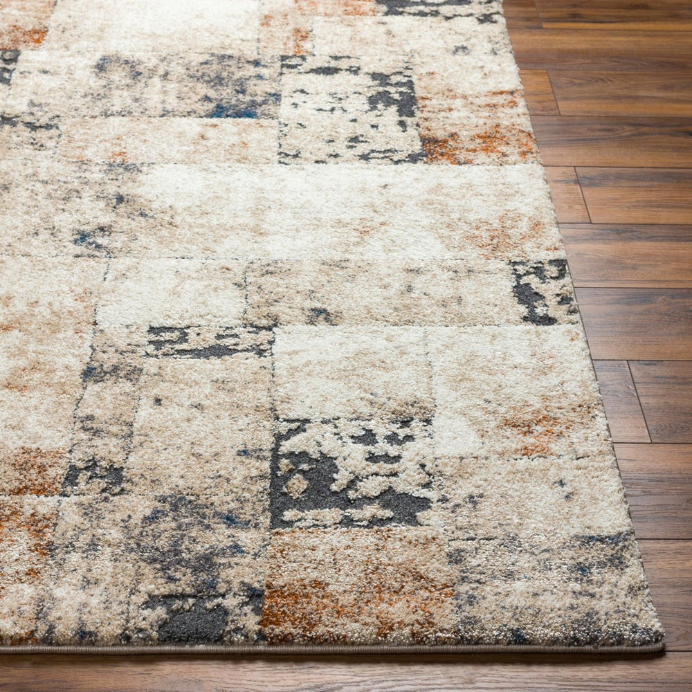 Livabliss Tuscany Plush High Pile Area Rug Turkey Woven Polypropylene Blend Large Living Room TUS2342-1215