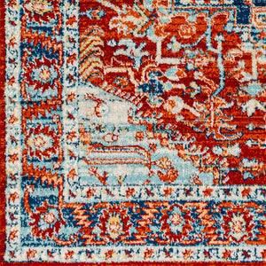 Livabliss Tevazu Traditional Pattern Polypropylene Area Rug Medium Pile Living Room Floor TVZ2307-71010