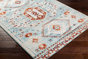 Livabliss Tevazu Geometric Traditional Area Rug Polypropylene Medium Pile Living Room Floor TVZ2319-537