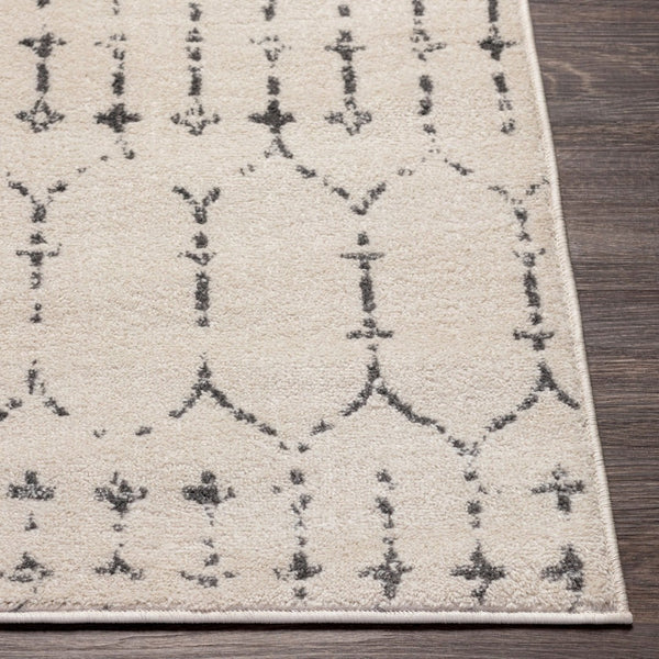Livabliss Tevazu Bohemian Machine Woven Polypropylene Area Rug for Living and Dining Rooms TVZ2382-912