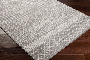 Livabliss Tevazu Global Eclectic Polypropylene Area Rug Machine Woven for Living or Dining Rooms TVZ2387-912
