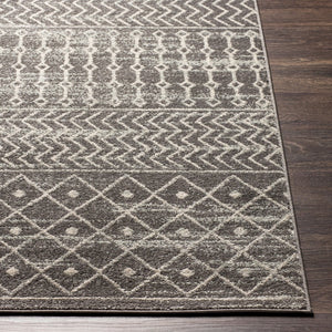 Livabliss Tevazu Global Eclectic Polypropylene Area Rug Machine Woven for Living or Dining Rooms TVZ2387-912