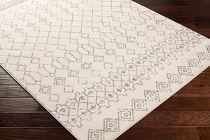 Livabliss Tevazu Bohemian Global Polypropylene Area Rug Turkish Woven Living Room Floor Accent TVZ2390-679