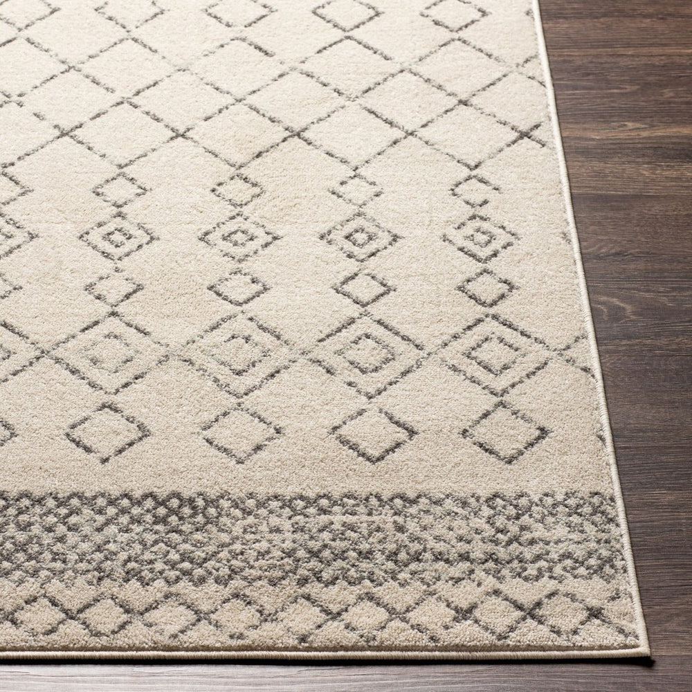 Livabliss Tevazu Bohemian Global Polypropylene Area Rug Turkish Woven Living Room Floor Accent TVZ2390-679