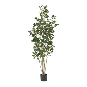 English Elm 180cm Artificial Laurel Tree Lifelike Faux Foliage Floor Plant for Living Room Decor 70538.00