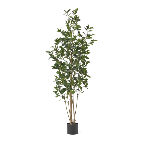 English Elm 180cm Artificial Laurel Tree Lifelike Faux Foliage Floor Plant for Living Room Decor 70538.00