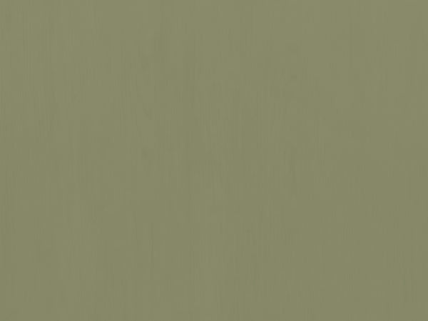 Legends Furniture Bridgevine Home Vineyard 48 Inch Coffee Table, No Assembly Required, Sage Green And Fruitwood Finish Sage And Fruitwood, Green Poplar Solids And Okoume Veneers Vy4210.Sfl