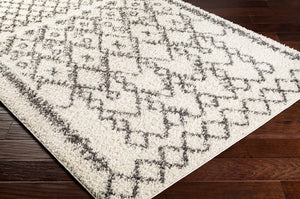 Livabliss Taza Plush Shag Area Rug Soft Polypropylene Pile for Bedroom or Living Room Cream, Charcoal 5'2" x 7' TZS2301-527