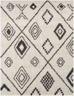 Livabliss Taza Plush Shag Area Rug Turkish Woven High Pile Softness for Living Room Bedroom TZS2322-527
