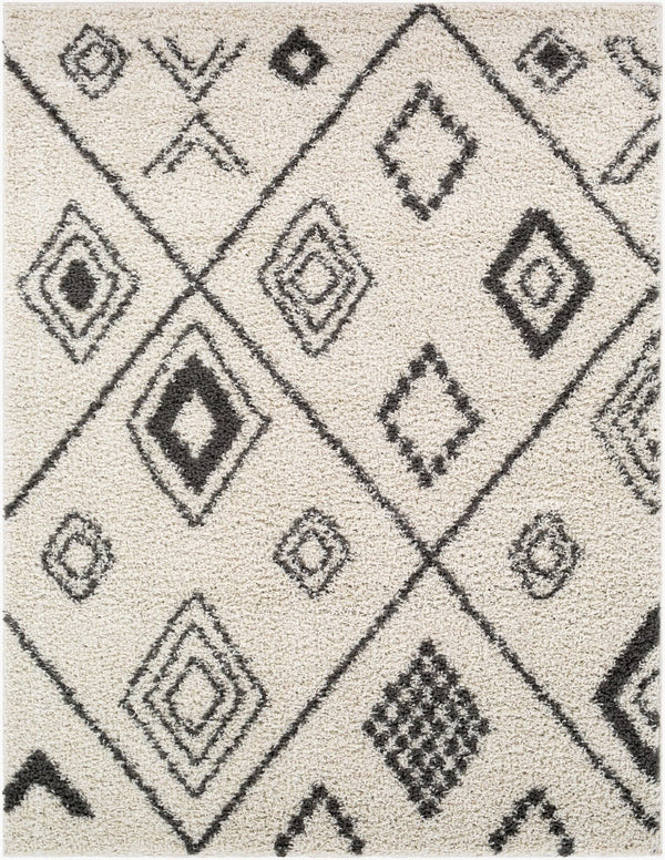 Livabliss Taza Plush Shag Area Rug Turkish Woven High Pile Softness for Living Room Bedroom TZS2322-527