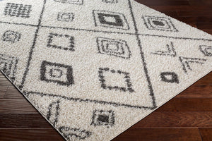 Livabliss Taza Plush Shag Area Rug Turkish Woven High Pile Softness for Living Room Bedroom TZS2322-527