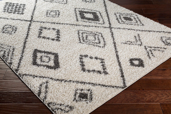 Livabliss Taza Plush Shag Area Rug Turkish Woven High Pile Softness for Living Room Bedroom TZS2322-527
