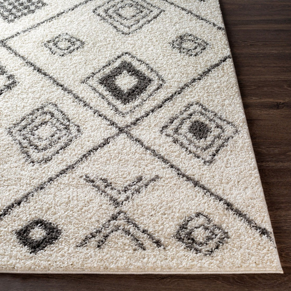 Livabliss Taza Plush Shag Area Rug Turkish Woven High Pile Softness for Living Room Bedroom TZS2322-527