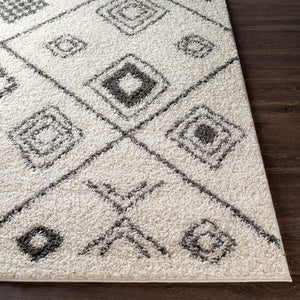 Livabliss Taza Plush Shag Area Rug Turkish Woven High Pile Softness for Living Room Bedroom TZS2322-527