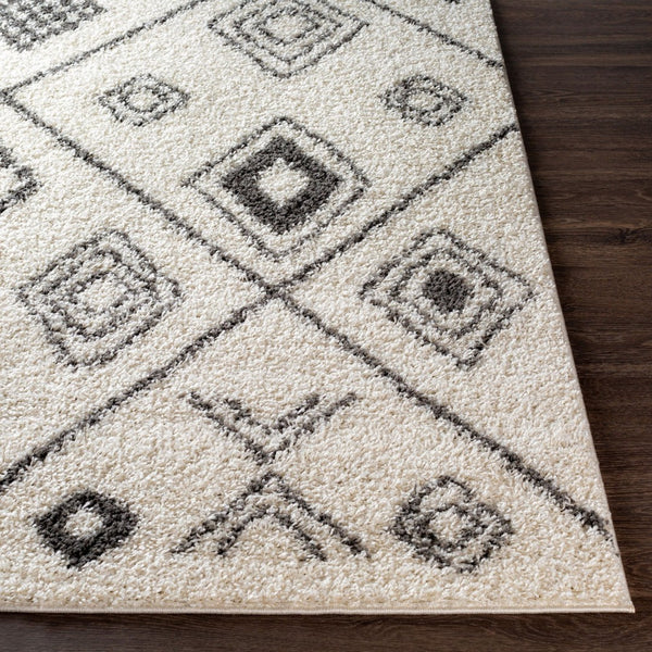 Livabliss Taza Plush Shag Area Rug Turkish Woven High Pile Softness for Living Room Bedroom TZS2322-527