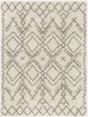 Livabliss Taza Plush Shag Area Rug Turkish Woven Polypropylene Soft Pile Living Room TZS2326-527