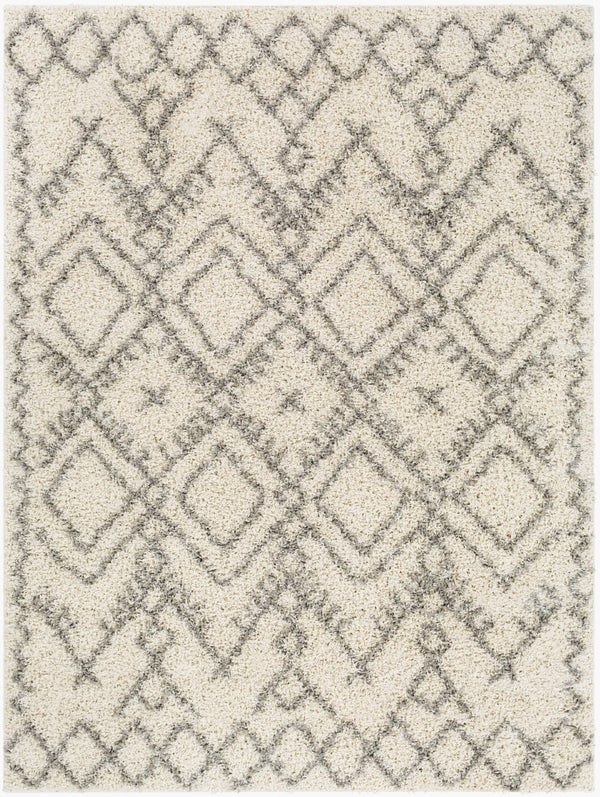 Livabliss Taza Plush Shag Area Rug Turkish Woven Polypropylene Soft Pile Living Room TZS2326-527