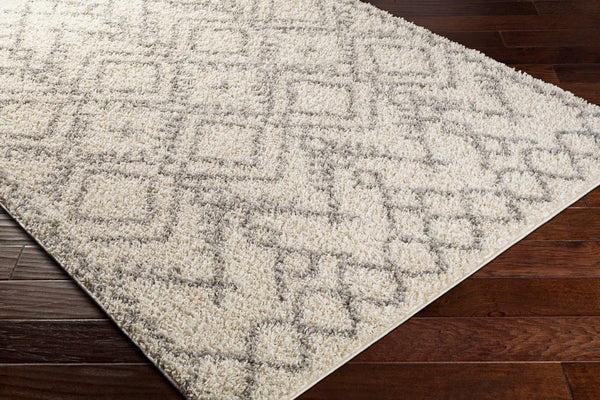 Livabliss Taza Plush Shag Area Rug Turkish Woven Polypropylene Soft Pile Living Room TZS2326-527