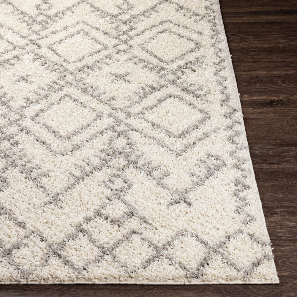Livabliss Taza Plush Shag Area Rug Turkish Woven Polypropylene Soft Pile Living Room TZS2326-527