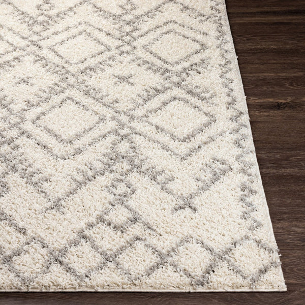Livabliss Taza Plush Shag Area Rug Turkish Woven Polypropylene Soft Pile Living Room TZS2326-527