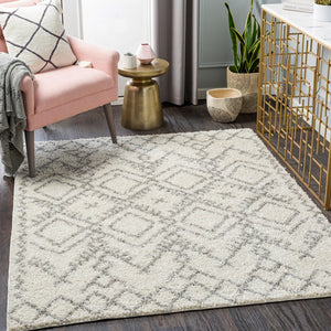 Livabliss Taza Plush Shag Area Rug Turkish Woven Polypropylene Soft Pile Living Room TZS2326-527
