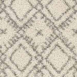Livabliss Taza Plush Shag Area Rug Turkish Woven Polypropylene Soft Pile Living Room TZS2326-527