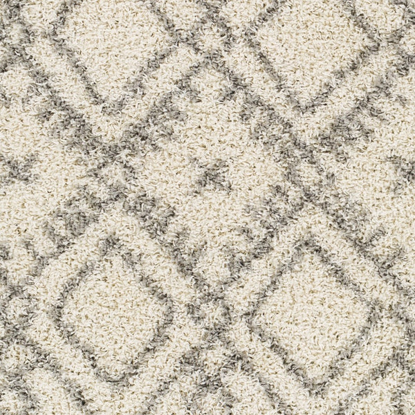 Livabliss Taza Plush Shag Area Rug Turkish Woven Polypropylene Soft Pile Living Room TZS2326-527