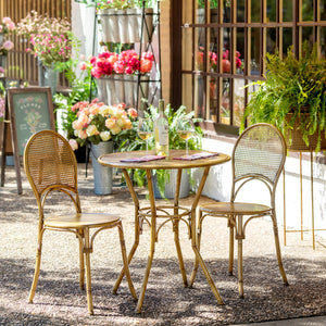 Roanoke Metal Bistro Table EFT20694 Park Hill