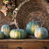 Early Green Pumpkin Collection, Set of 5 FBY81041 Park Hill