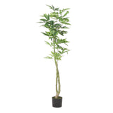 Christopher Knight Home® - Noble House - Monadnock 5' X 2.5' Artificial Money Tree, Green