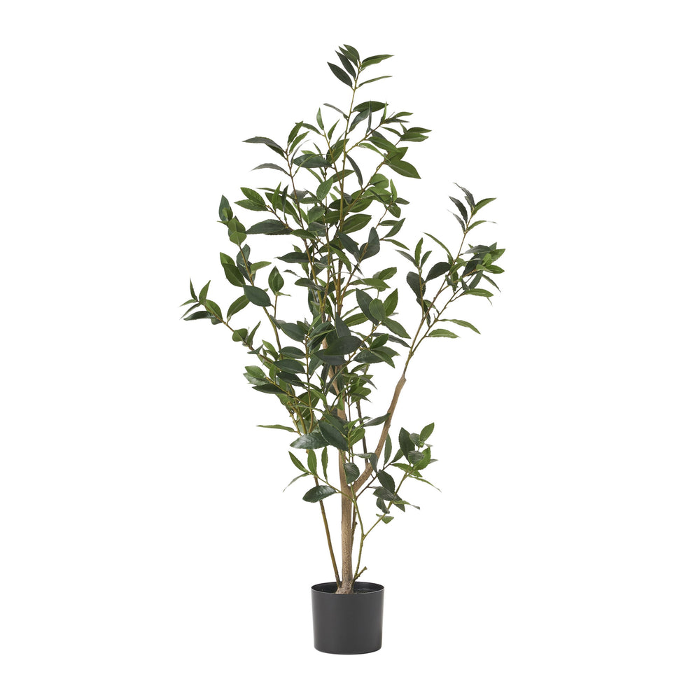 English Elm 120cm Artificial Laurel Topiary Tree Faux Foliage Iron Frame Indoor Decor 70536.00
