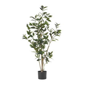 English Elm 120cm Artificial Laurel Topiary Tree Faux Foliage Iron Frame Indoor Decor 70536.00