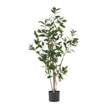 Christopher Knight Home® - Noble House - Atoka 4' X 1.5' Artificial Laurel Tree, Green