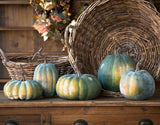 Early Green Pumpkin Collection, Set of 5 FBY81041 Park Hill