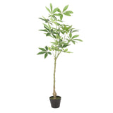 Christopher Knight Home® - Noble House - Monadnock 4' X 1.5' Artificial Money Tree, Green