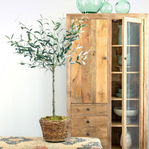 Potted Olive Topiary EBQ81053 Park Hill