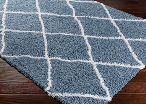 Livabliss Urban Shag Plush Polypropylene Accent Rug with Global Geometric Pattern for Entryways USG2309-23