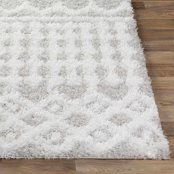 Livabliss Urban Shag Polypropylene Area Rug High Low Pile Accent for Entryway or Bedroom White, Light Gr 7'10" x 10'2" USG2310-710103