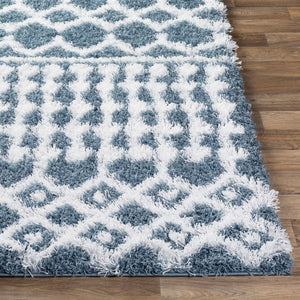 Livabliss Urban Shag Polypropylene Accent Rug with High Low Pile for Entryway or Bedside Denim, White 5'3" x 7'3" USG2311-5373