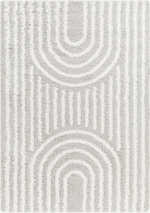 Livabliss Urban Shag Machine Woven Polypropylene Rug Global Pattern for Living Rooms USG2314-5373