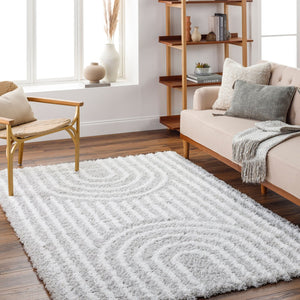 Livabliss Urban Shag Machine Woven Polypropylene Rug Global Pattern for Living Rooms USG2314-5373
