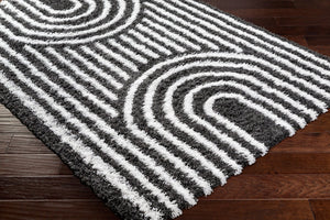 Livabliss Urban Bohemian Plush Shag Area Rug Machine Woven Polypropylene for Living Room USG2318-5373
