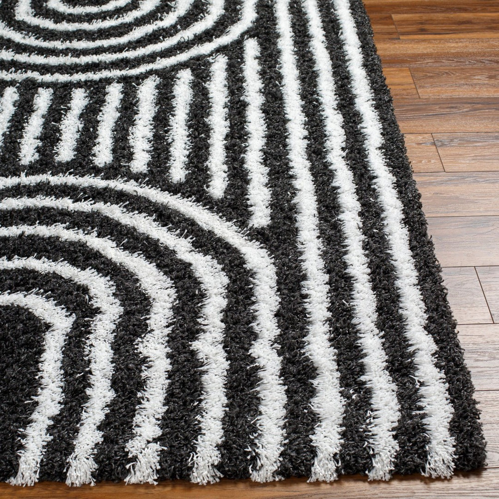 Livabliss Urban Bohemian Plush Shag Area Rug Machine Woven Polypropylene for Living Room USG2318-5373