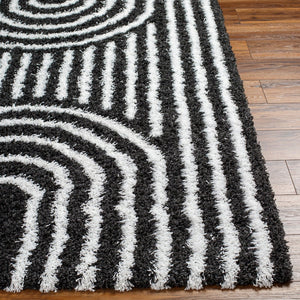 Livabliss Urban Bohemian Plush Shag Area Rug Machine Woven Polypropylene for Living Room USG2318-5373