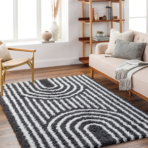 Livabliss Urban Bohemian Plush Shag Area Rug Machine Woven Polypropylene for Living Room USG2318-5373